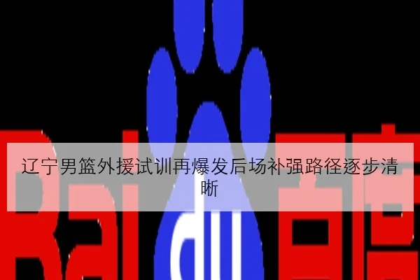 辽宁男篮外援试训再爆发后场补强路径逐步清晰