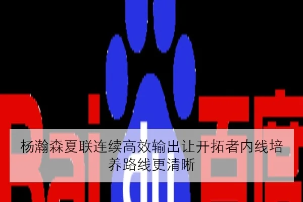 杨瀚森夏联连续高效输出让开拓者内线培养路线更清晰